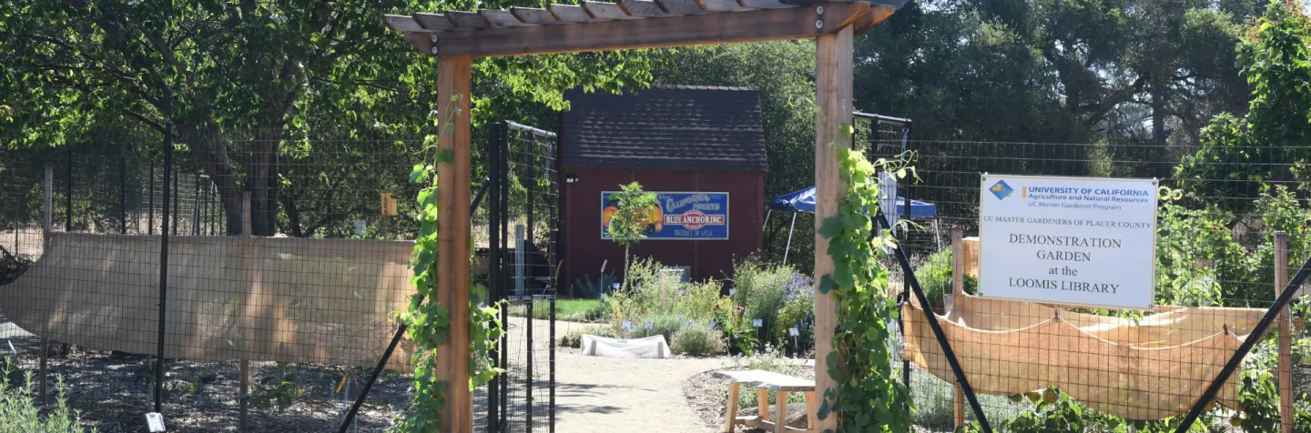 Demonstration Garden